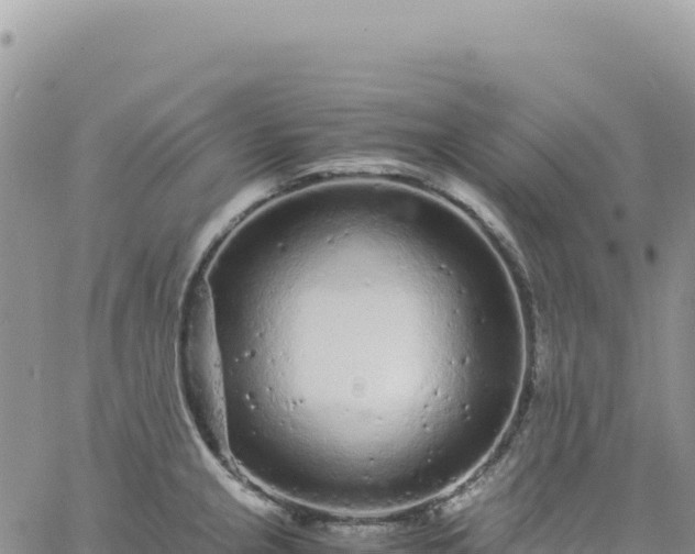 X0000061761237200512091653