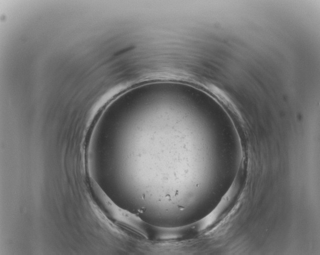 X0000061761238200512091653