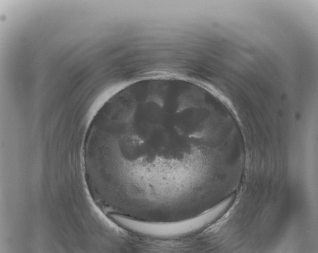 X0000061761239200512091653