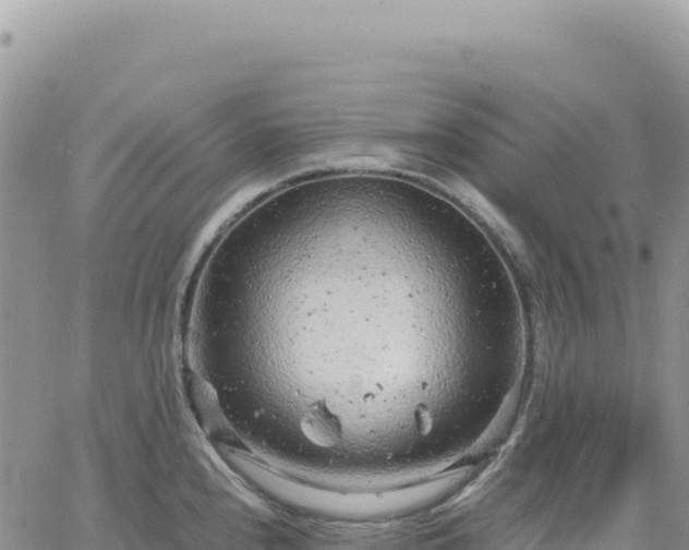 X0000061761240200512091653