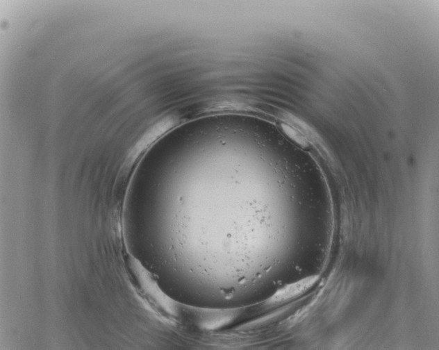 X0000061761241200512091653