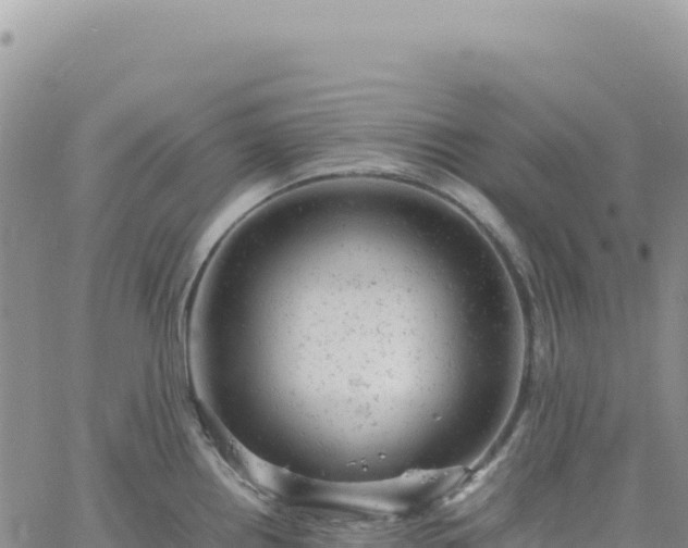 X0000061761242200512091653