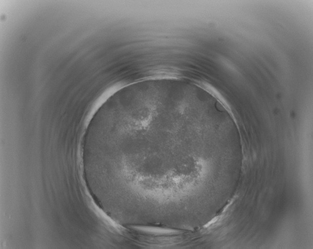 X0000061761243200512091653