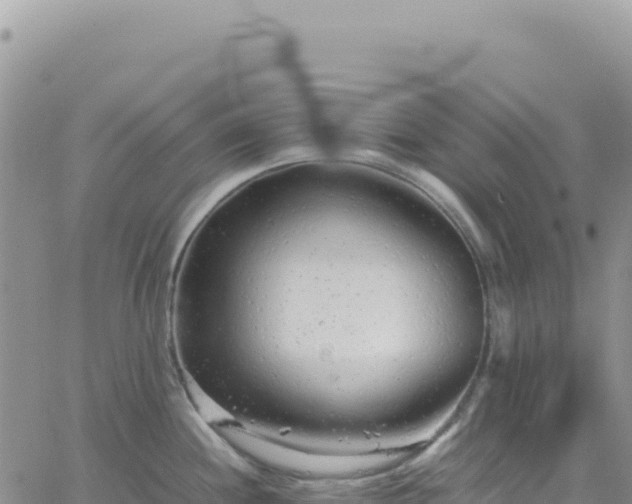 X0000061761244200512091653