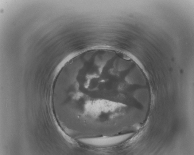 X0000061761245200512091653