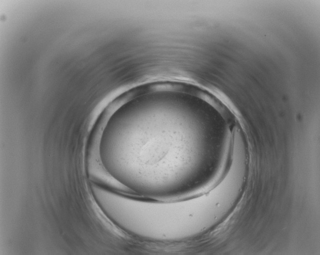 X0000061761246200512091653