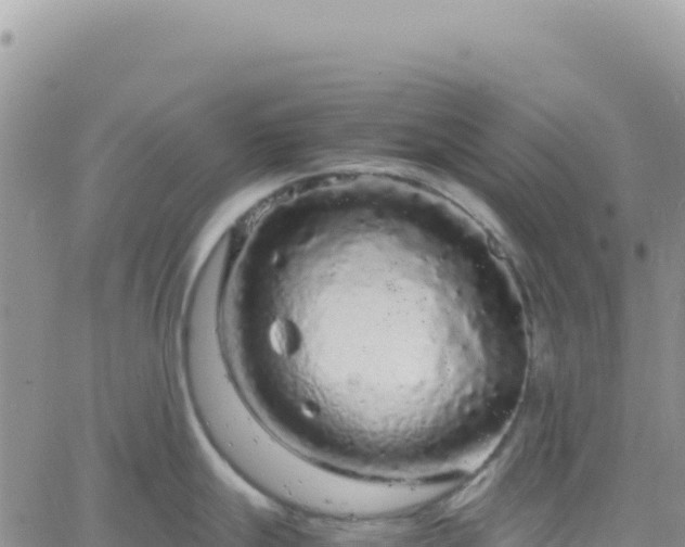 X0000061761247200512091653