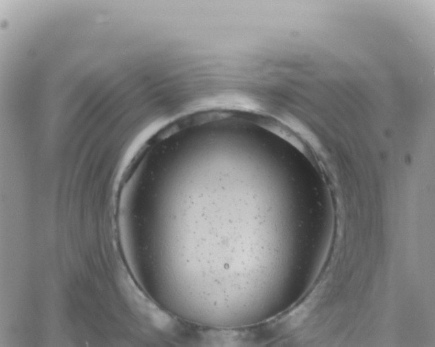 X0000061761248200512091653