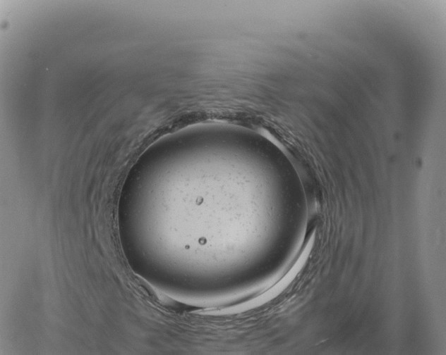 X0000061761249200512091652