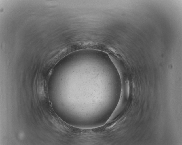 X0000061761250200512091652