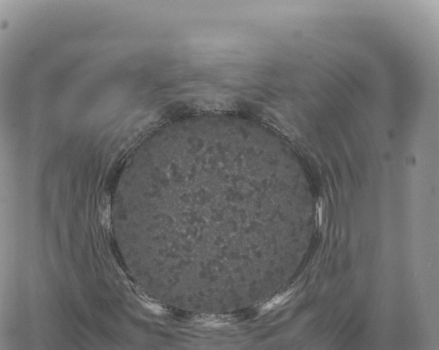 X0000061761251200512091652