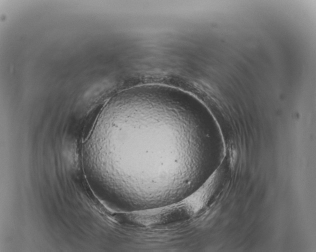 X0000061761252200512091652