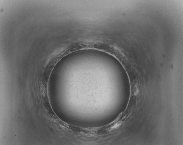 X0000061761253200512091652