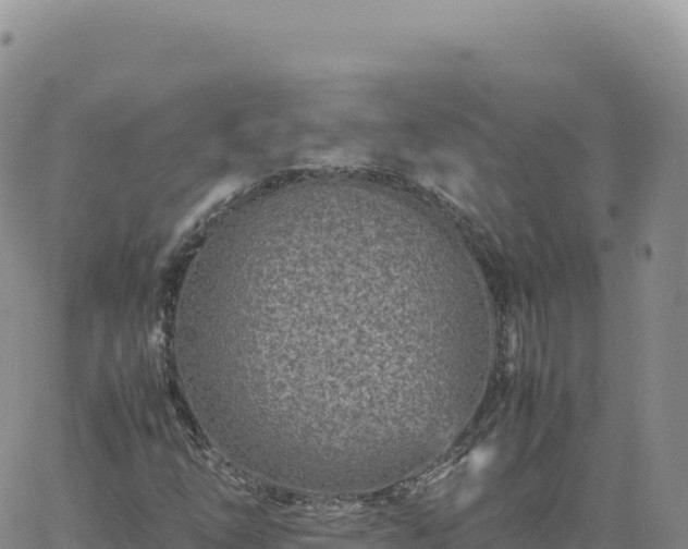 X0000061761254200512091652