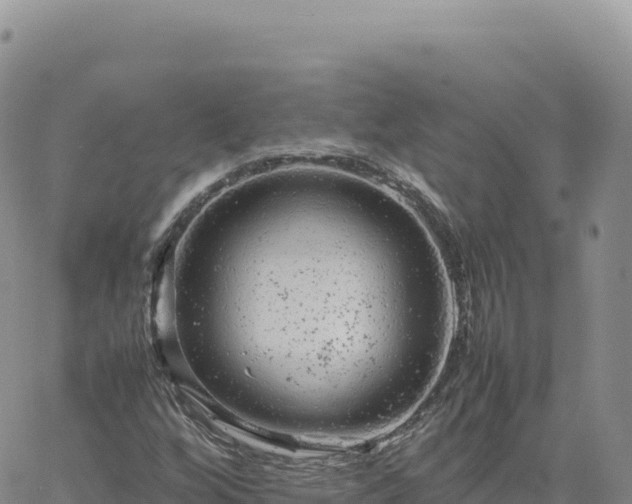 X0000061761256200512091652