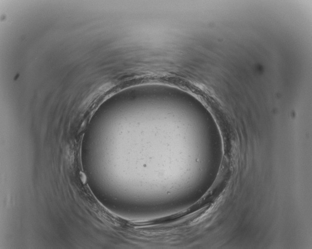 X0000061761257200512091652