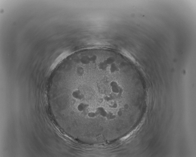 X0000061761259200512091652