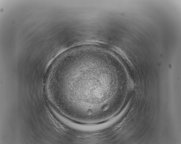 X0000061761260200512091652