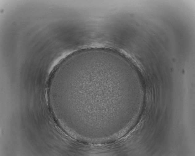 X0000061761262200512091652