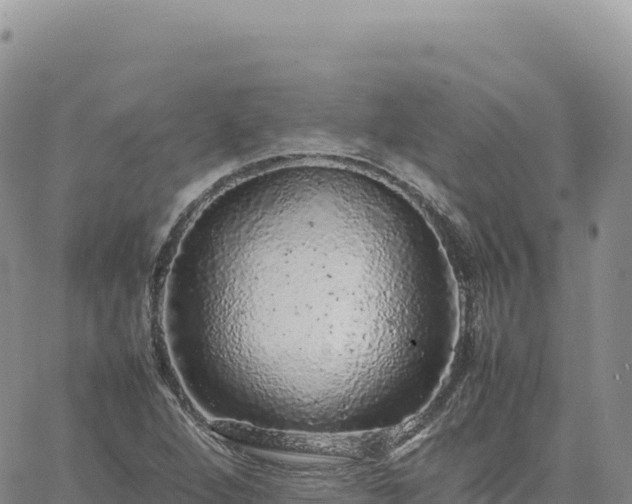 X0000061761264200512091652