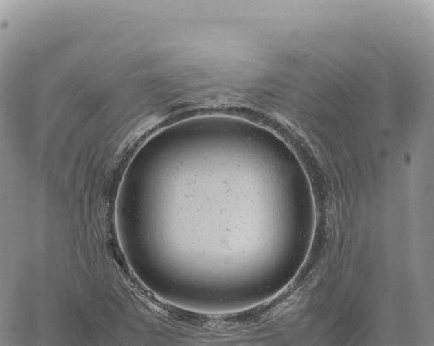 X0000061761265200512091652