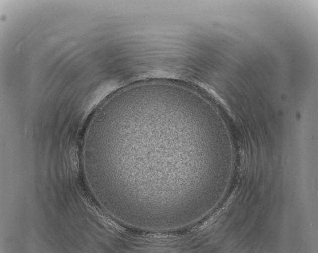 X0000061761266200512091652