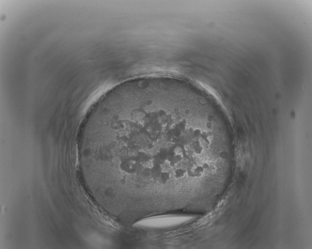 X0000061761267200512091652