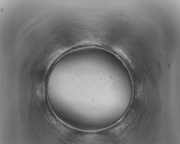 X0000061761268200512091652