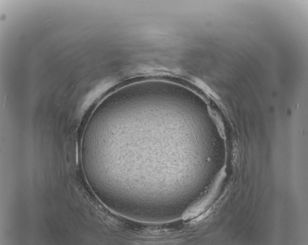 X0000061761269200512091652