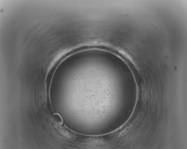 X0000061761270200512091652