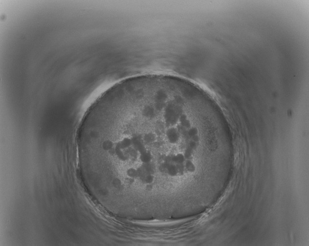 X0000061761271200512091652