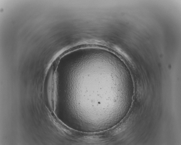 X0000061761272200512091652