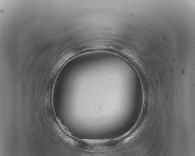 X0000061761273200512091652