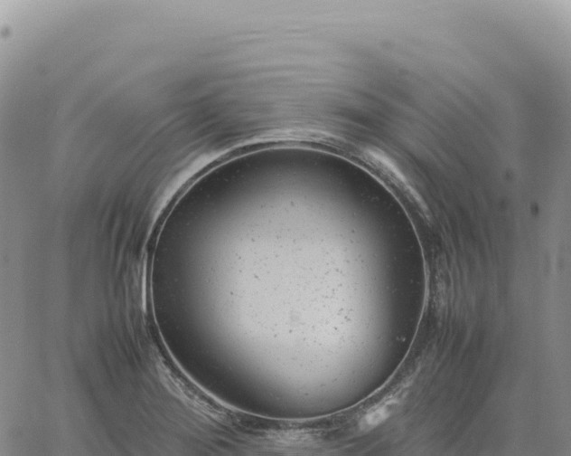 X0000061761276200512091652