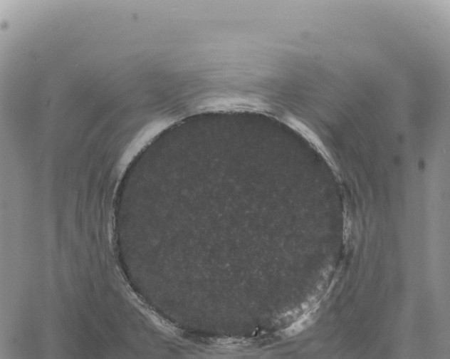 X0000061761277200512091652