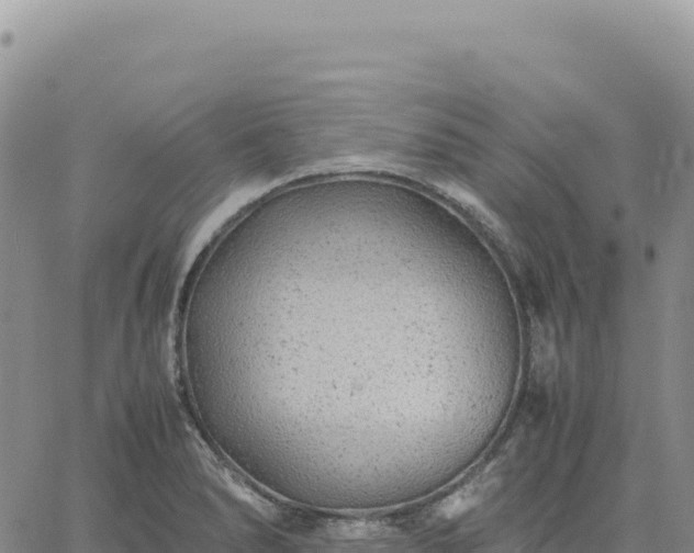 X0000061761278200512091652