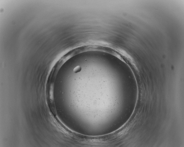 X0000061761280200512091652