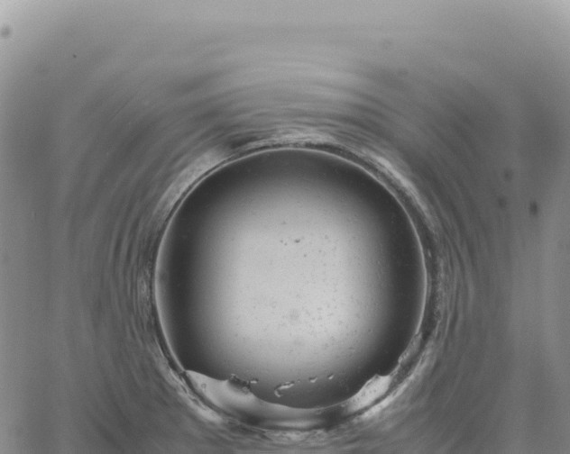 X0000061761281200512091652