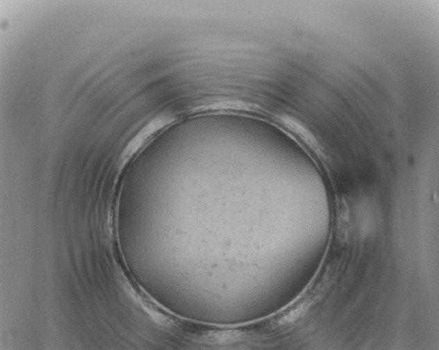 X0000061761282200512091652