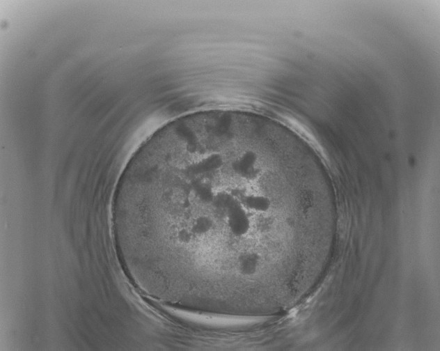 X0000061761283200512091652