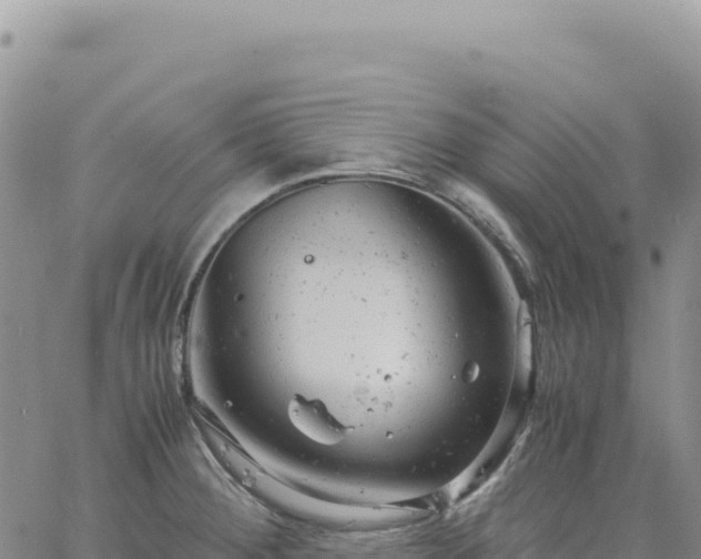 X0000061761284200512091652