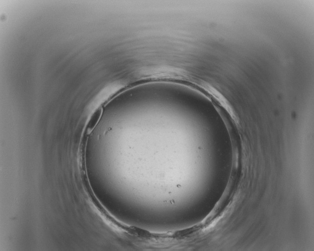 X0000061761285200512091652