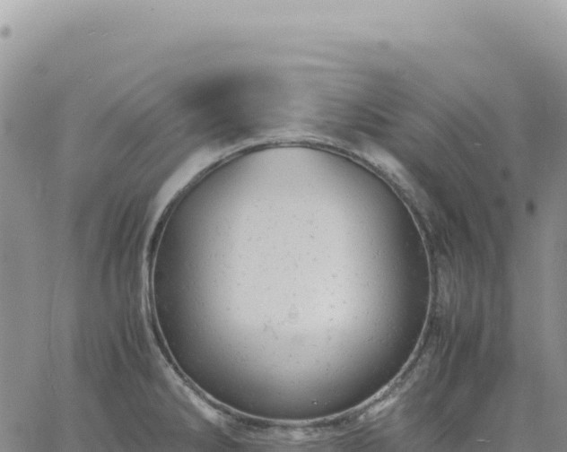 X0000061761286200512091652