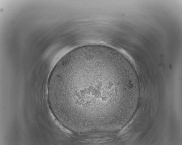 X0000061761287200512091652