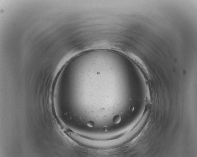 X0000061761288200512091652