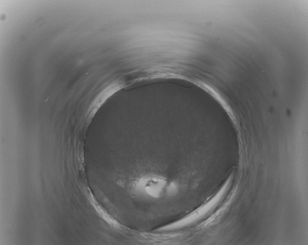 X0000061761289200512091651