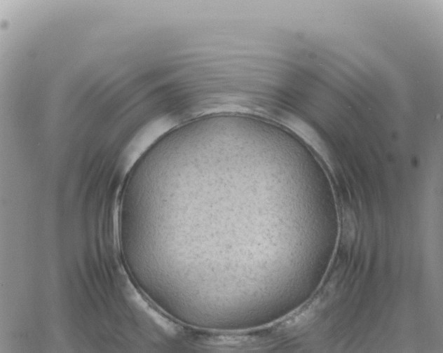 X0000061761290200512091651