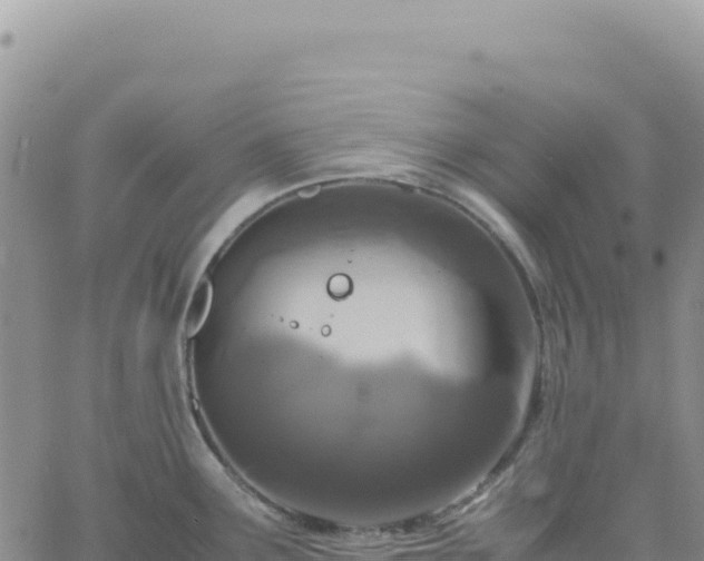 X0000061761291200512091651