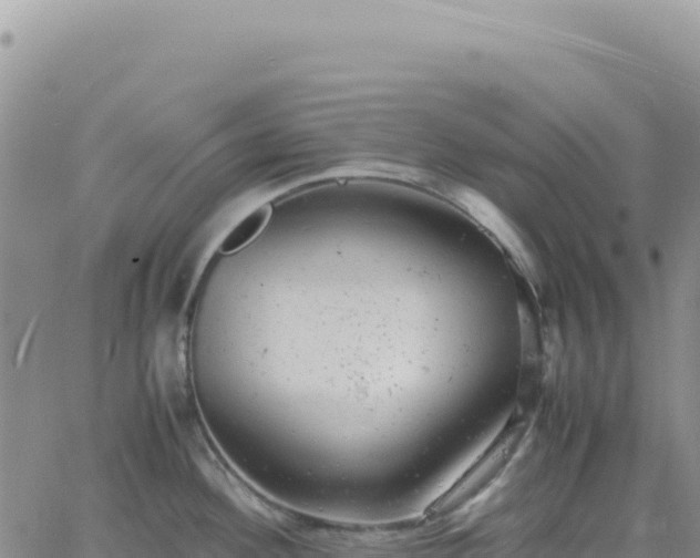 X0000061761292200512091651