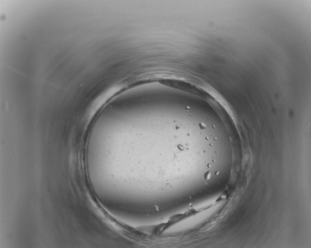 X0000061761293200512091651